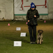 18.01.28. Rally Obedience 01.jpg