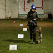 18.01.28. Rally Obedience 02.jpg