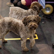 18.02.04. Valga 06.jpg