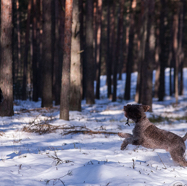 18.02.04. Valga 08.jpg